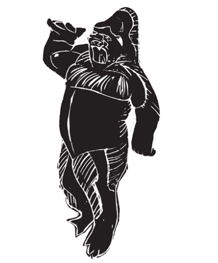 Gorilla